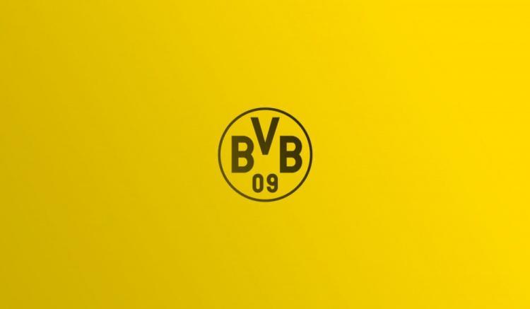 mk体育下载-多特欧冠注册25人名单：小贝林厄姆领衔，聚勒&amp;amp;施洛特贝克在列